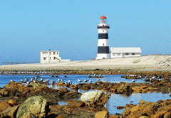 CAPE RECIFE AND GRYSBOK NATURE RESERVE (HD14)