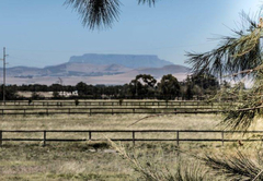 Boerfontein山景套房