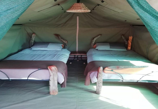 帐篷营双胞胎