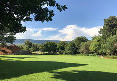 小雨燕小屋